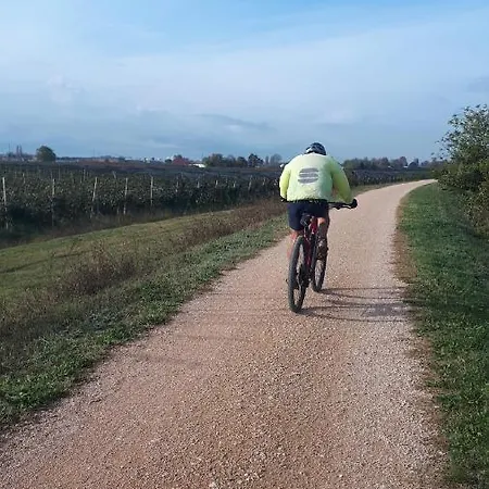 Sulla Ciclabile Lungo Il Fiume Adige