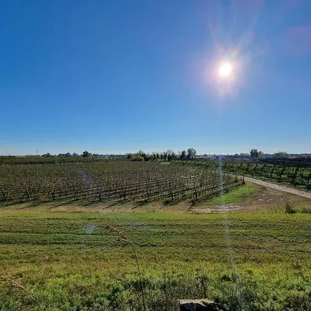 Sulla Ciclabile Lungo Il Fiume Adige Appartamento *