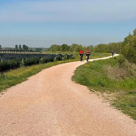 Sulla Ciclabile Lungo Il Fiume Adige *