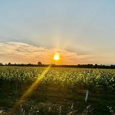 Appartamento Sulla Ciclabile Lungo Il Fiume Adige Zevio