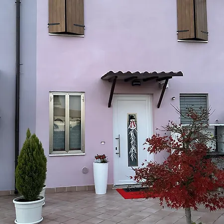 Sulla Ciclabile Lungo Il Fiume Adige